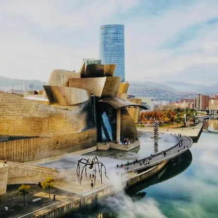 Ubicacion, Luminosidad, Trabaja A Distancia. Getxo